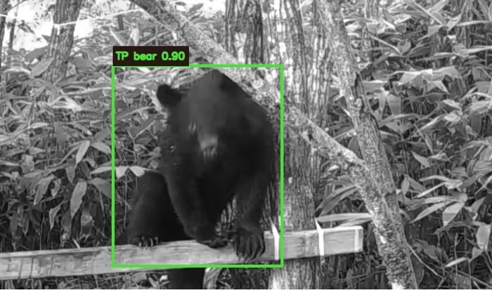 クマトリガーによるクマの検知画像（信頼度0.90）