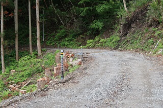 差込式木製デリネーター 小屋の沢林道